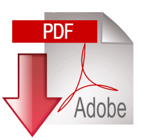 pdf-icon3